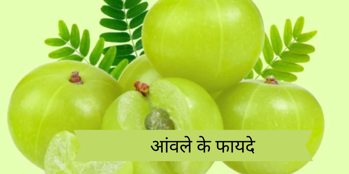 आंवले के फायदे - Unlocking the Health Benefits of Amla: The Superfood You Need to Know About